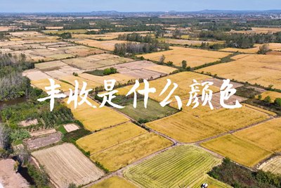 春種一粒粟，秋收萬顆子。多彩的豐收季，只愿五谷豐登，百事興旺3.240_400.jpg