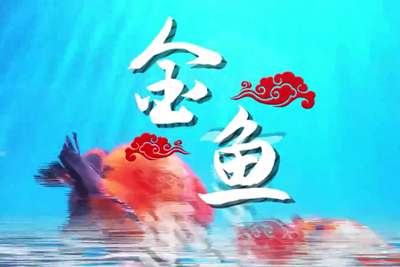 金魚歡躍，流光溢彩！_400.jpg